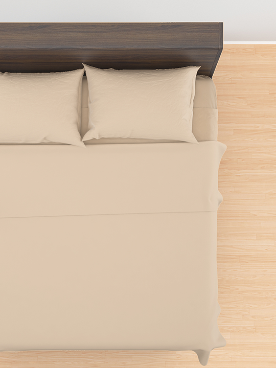 Pillow Pair (Beige Color)